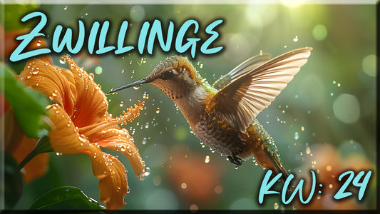 ♊ Zwillinge - KW 24 ♊