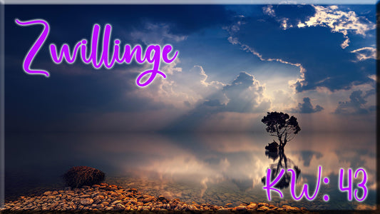 ♊ Zwillinge - KW 43 ♊