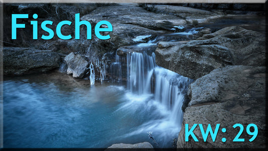 ♓ Fische - KW 29 ♓