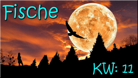 ♓ Fische - KW 11 ♓