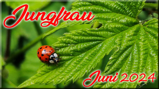 ♍ Jungfrau - Juni 2024 ♍