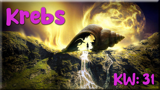 ♋ Krebs - KW 31 ♋