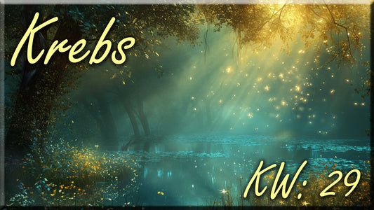 ♋ Krebs - KW 29 ♋