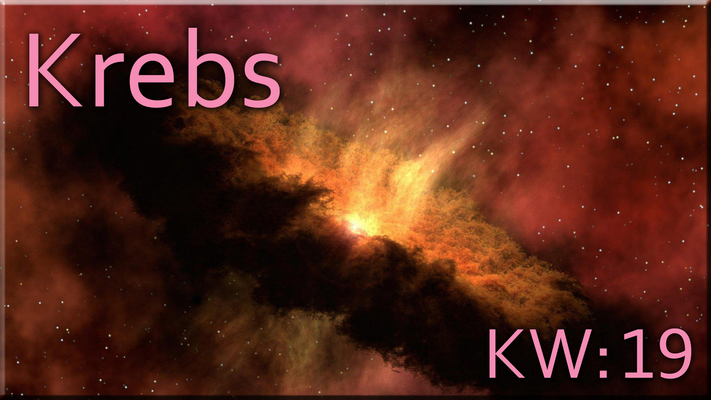 ♋ Krebs - KW 19 ♋