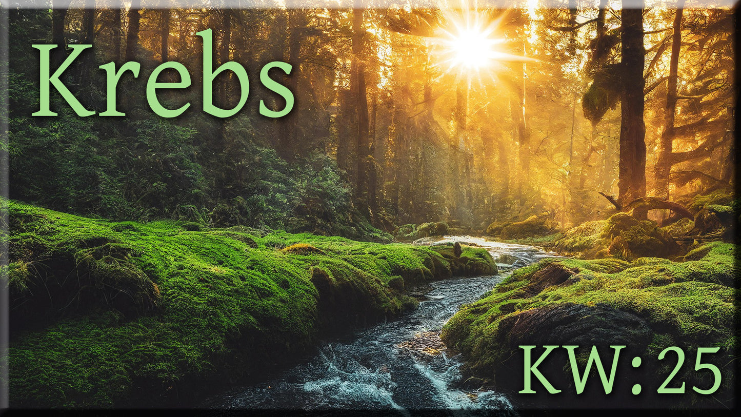 ♋ Krebs - KW 25 ♋