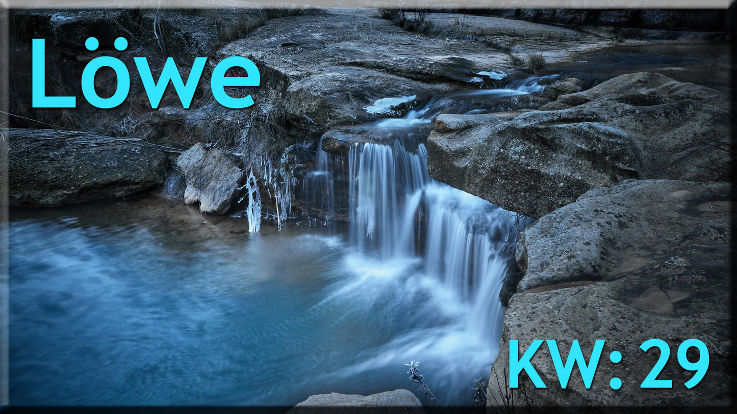 ♌ Löwe - KW 29 ♌