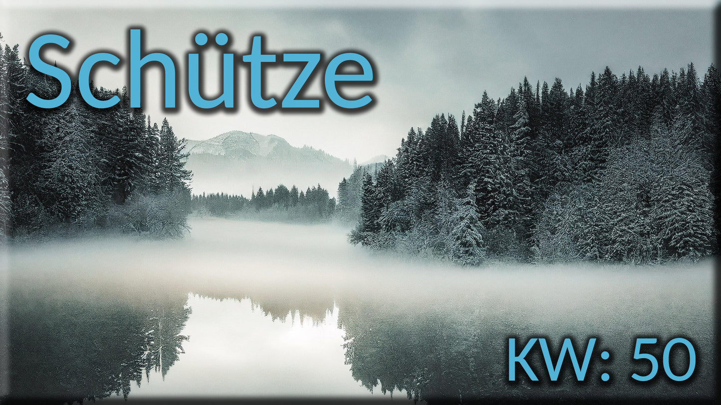 ♐ Schütze - KW 50 ♐