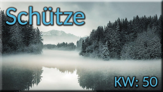♐ Schütze - KW 50 ♐