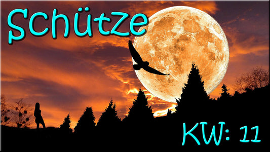♐ Schütze - KW 11 ♐