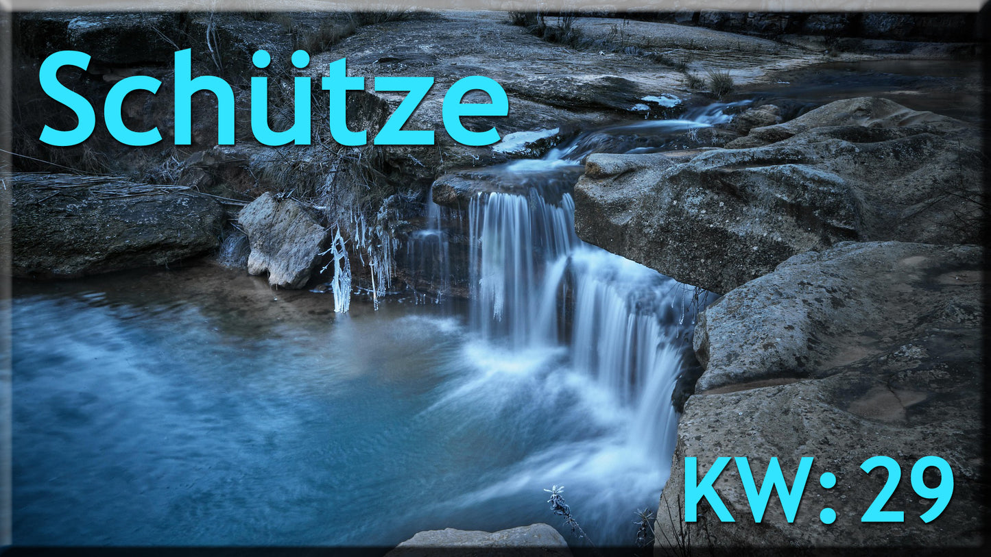 ♐ Schütze - KW 29 ♐