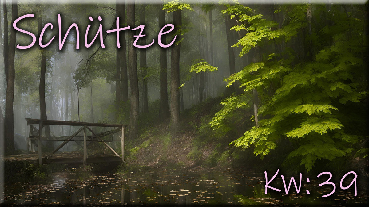 ♐ Schütze - KW 39 ♐