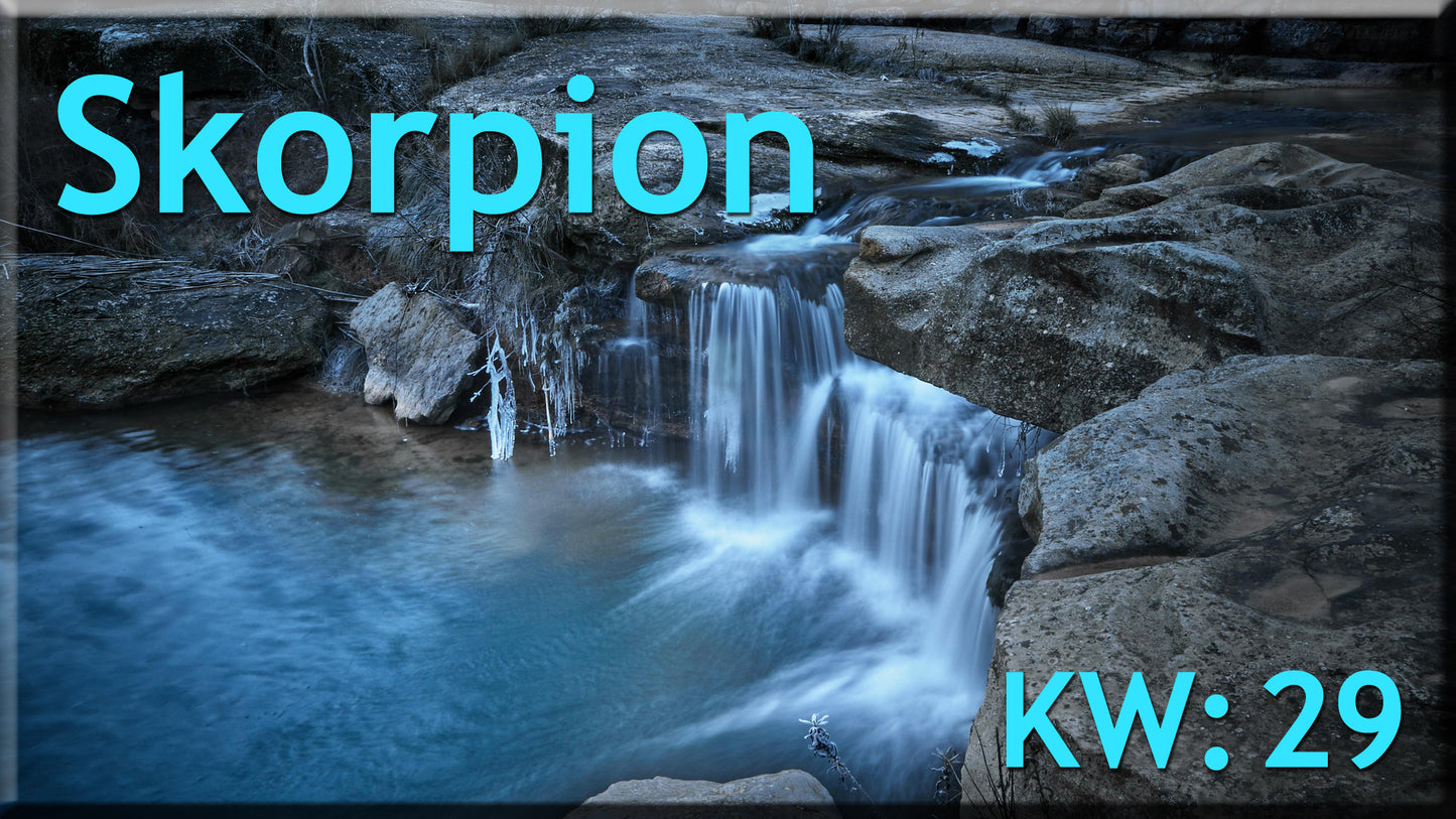 ♏ Skorpion - KW 29 ♏