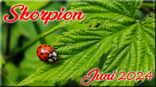 ♏ Skorpion - Juni 2024 ♏