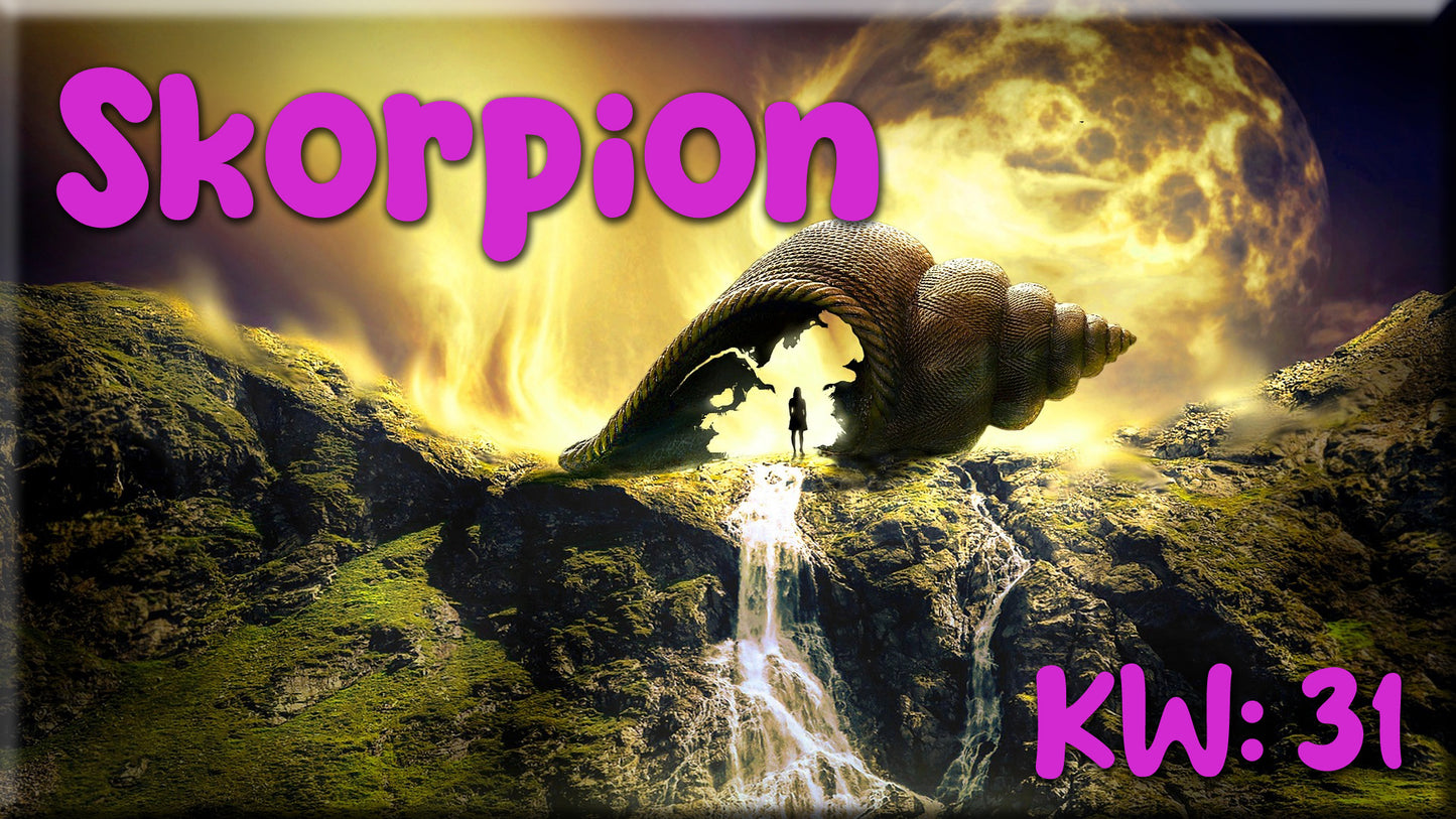 ♏ Skorpion - KW 31 ♏