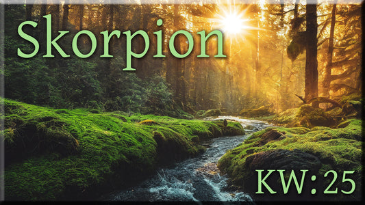 ♏ Skorpion - KW 25 ♏