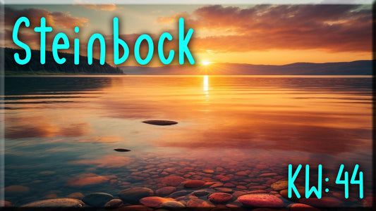 ♑ Steinbock - KW 44 ♑