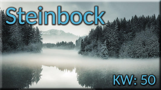 ♑ Steinbock - KW 50 ♑