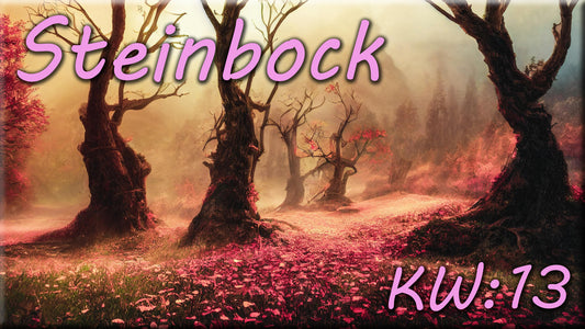♑ Steinbock - KW 13 ♑