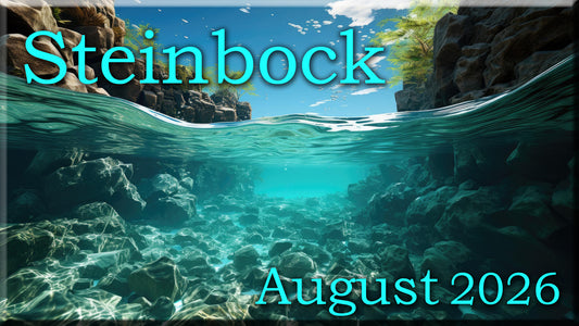 ♑ Steinbock - August 2026 ♑