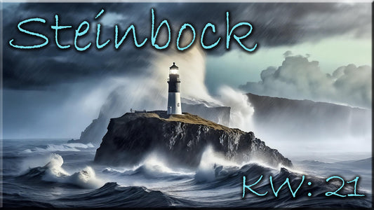 ♑ Steinbock - KW 21 ♑