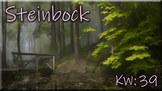 ♑ Steinbock - KW 39 ♑