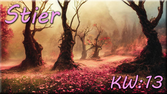 ♉ Stier - KW 13 ♉