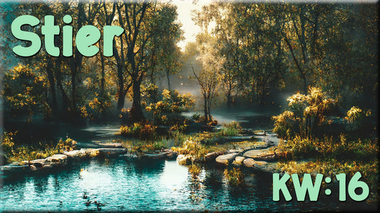 ♉ Stier - KW 16 ♉