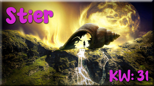 ♉ Stier - KW 31 ♉