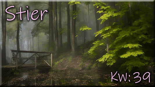 ♉ Stier - KW 39 ♉