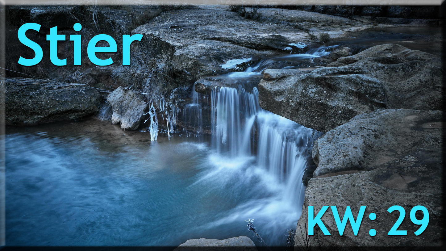 ♉ Stier - KW 29 ♉