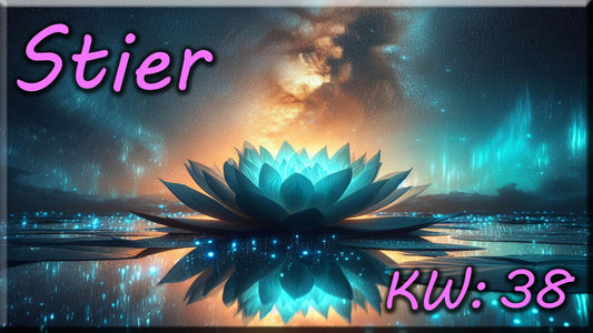 ♉ Stier - KW 38 ♉