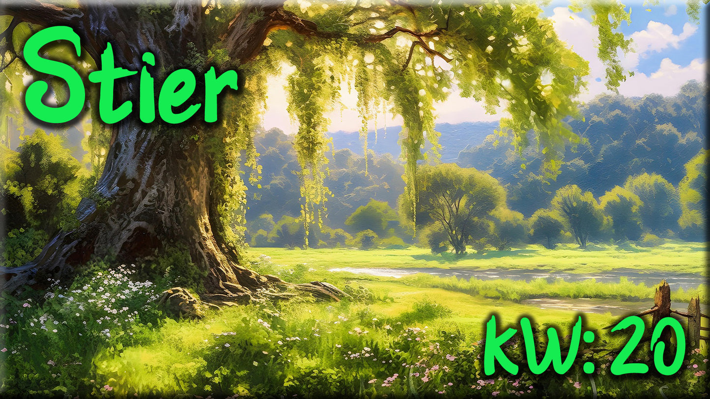 ♉ Stier - KW 20 ♉