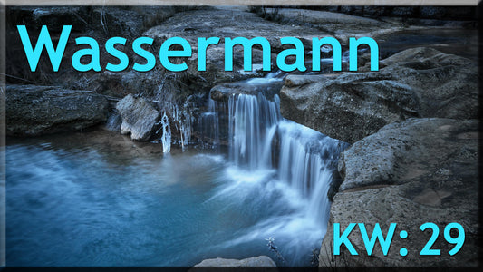♒ Wassermann - KW 29 ♒