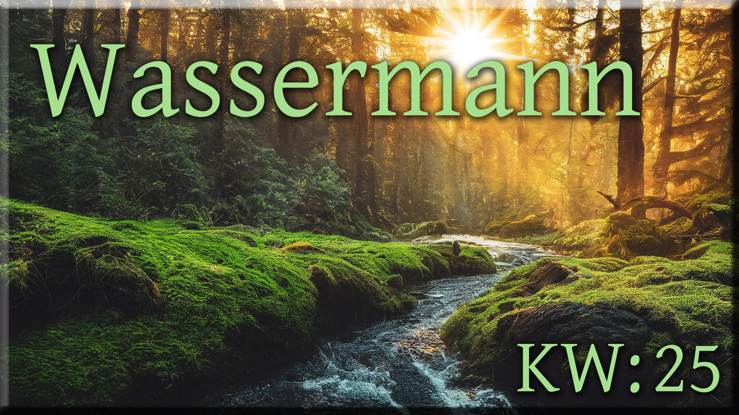 ♒ Wassermann - KW 25 ♒