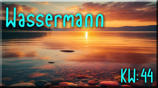 ♒ Wassermann - KW 44 ♒