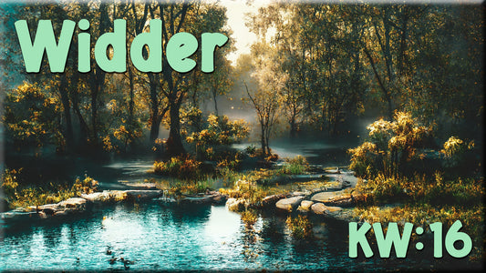 ♈ Widder - KW 16 ♈