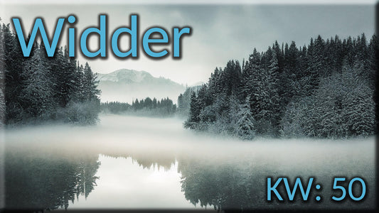 ♈ Widder - KW 50 ♈
