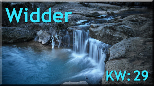 ♈ Widder - KW 29 ♈