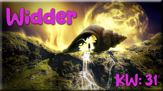 ♈ Widder - KW 31 ♈