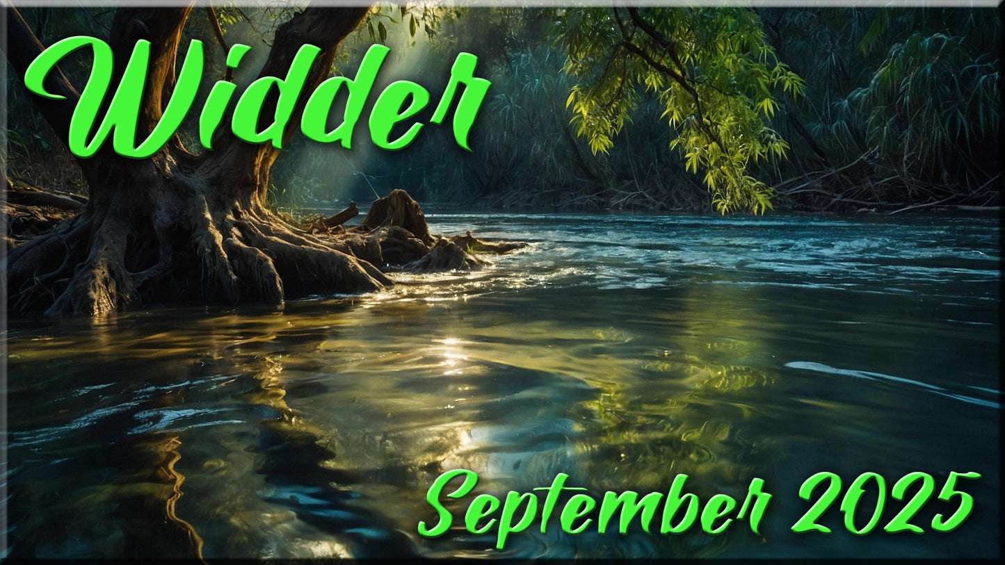 ♈ Widder - September 2025 ♈