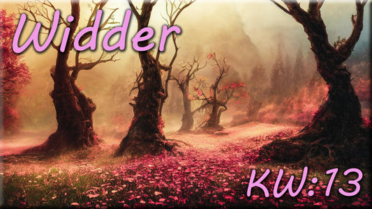 ♈ Widder - KW 13 ♈