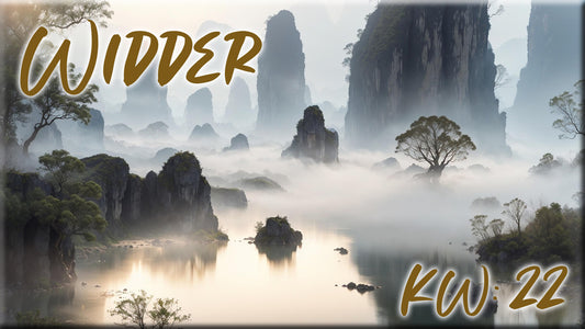 ♈ Widder - KW 22 ♈