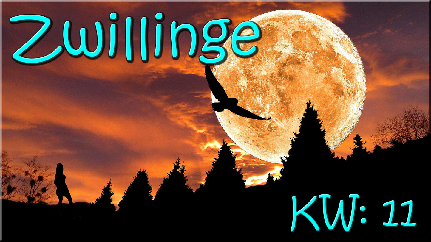 ♊ Zwillinge - KW 11 ♊