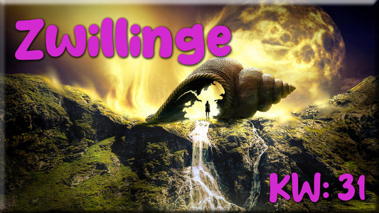 ♊ Zwillinge - KW 31 ♊