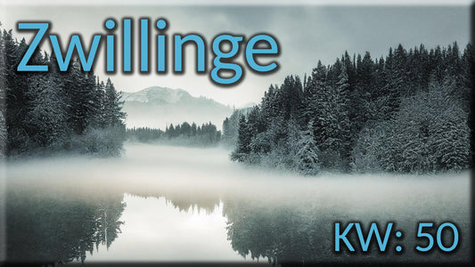 ♊ Zwillinge - KW 50 ♊
