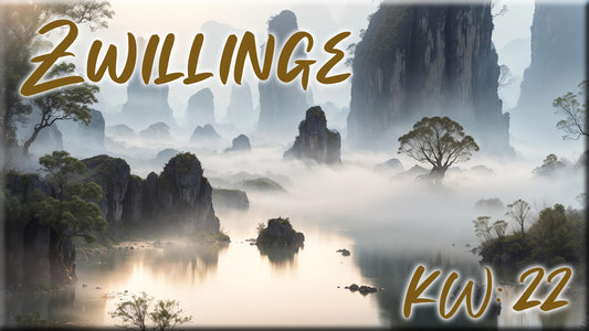 ♊ Zwillinge - KW 22 ♊