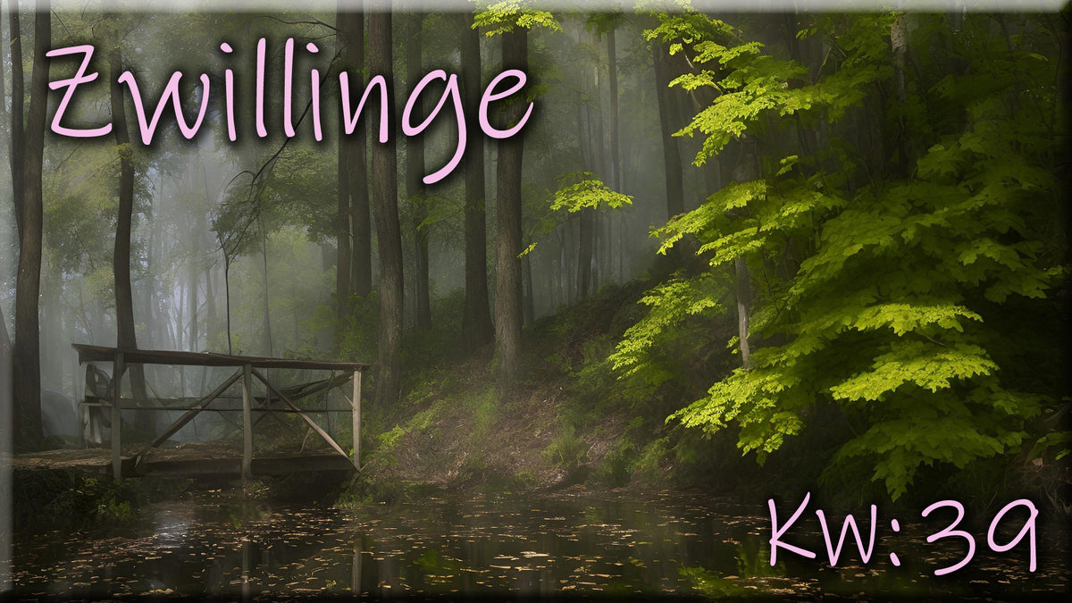 ♊ Zwillinge - KW 39 ♊
