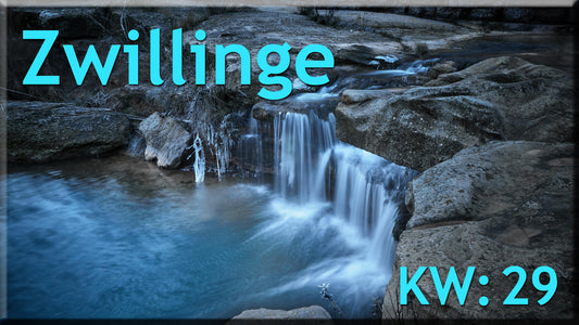 ♊ Zwillinge - KW 29 ♊