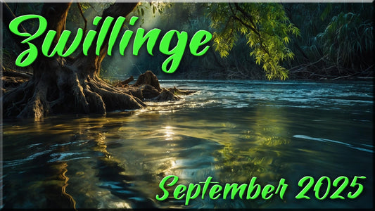 ♊ Zwillinge - September 2025 ♊