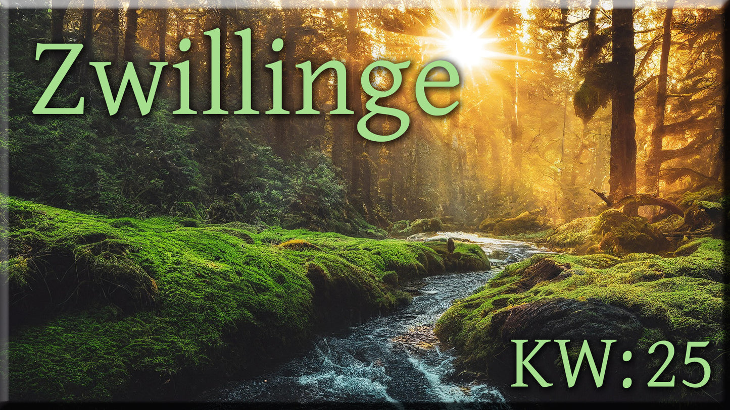 ♊ Zwillinge - KW 25 ♊